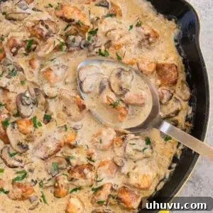 chicken stroganoff with mushrooms in a skillet