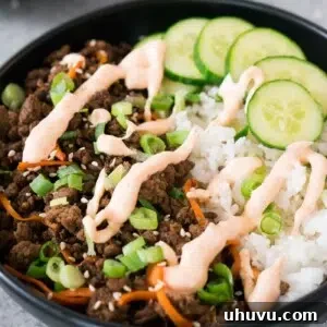 Close-up image of a delicious Asian beef and rice bowl