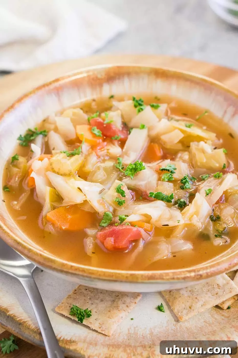 close up shot of cabbage soup in a bowl and on a plate, a healthy and easy dinner option