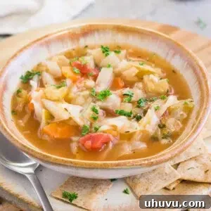 cabbage soup in a bowl