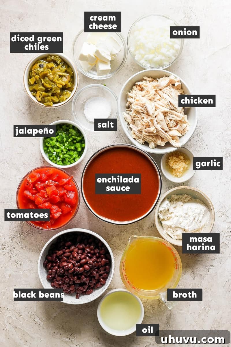 Enchilada Chicken Fiesta Bowl 3 Chicken enchilada soup ingredients