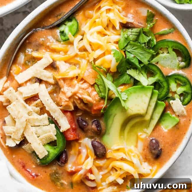 Enchilada Chicken Fiesta Bowl 9 Chicken Enchilada Soup