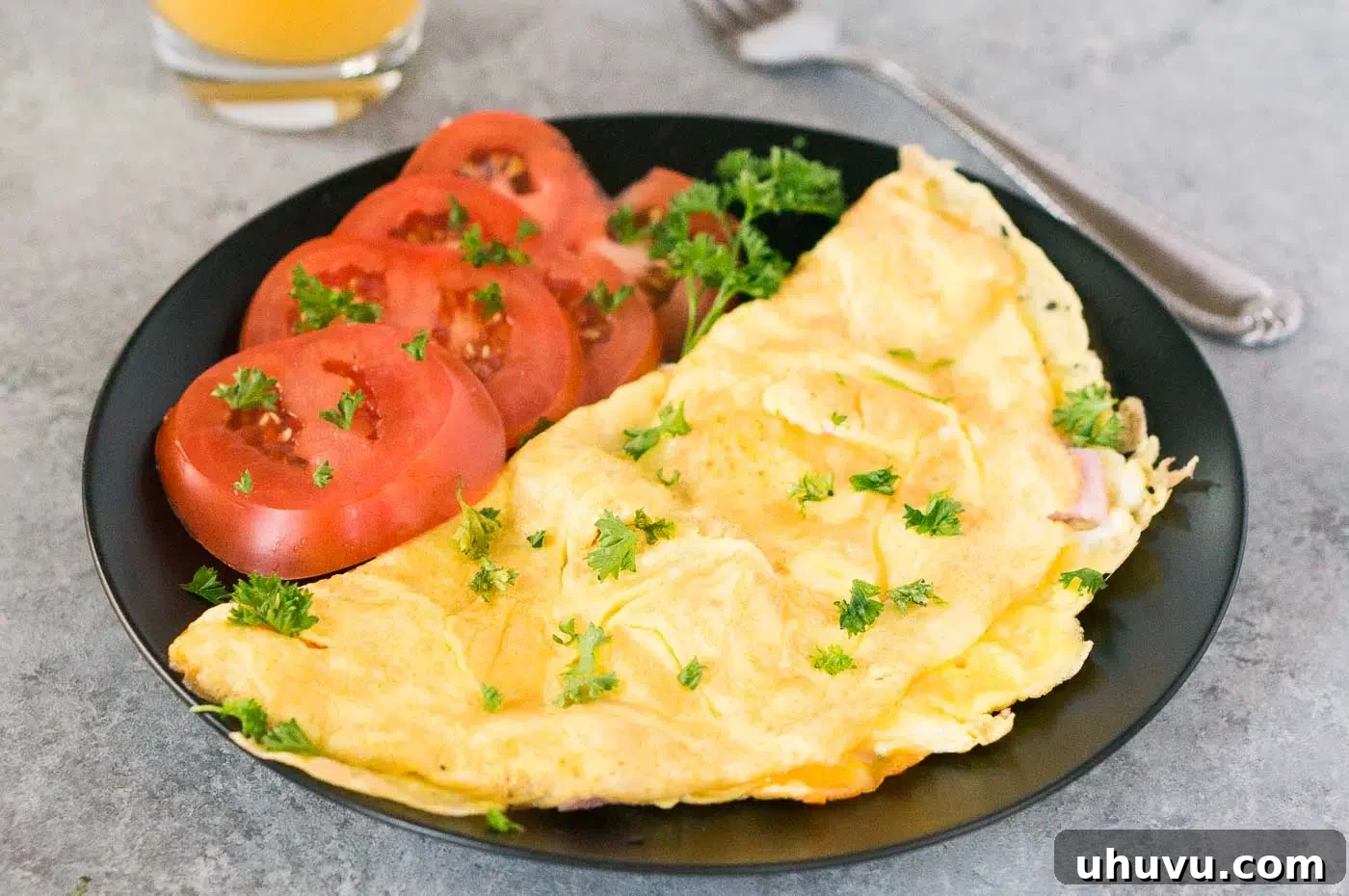 American style omelet on a plate with tomato slices