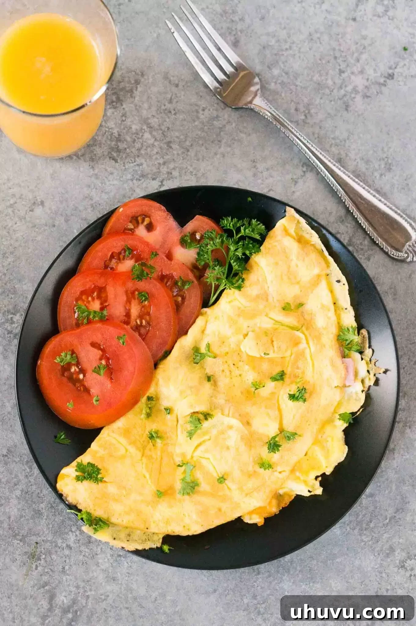 picture from top of omelet and tomato slices on a plate