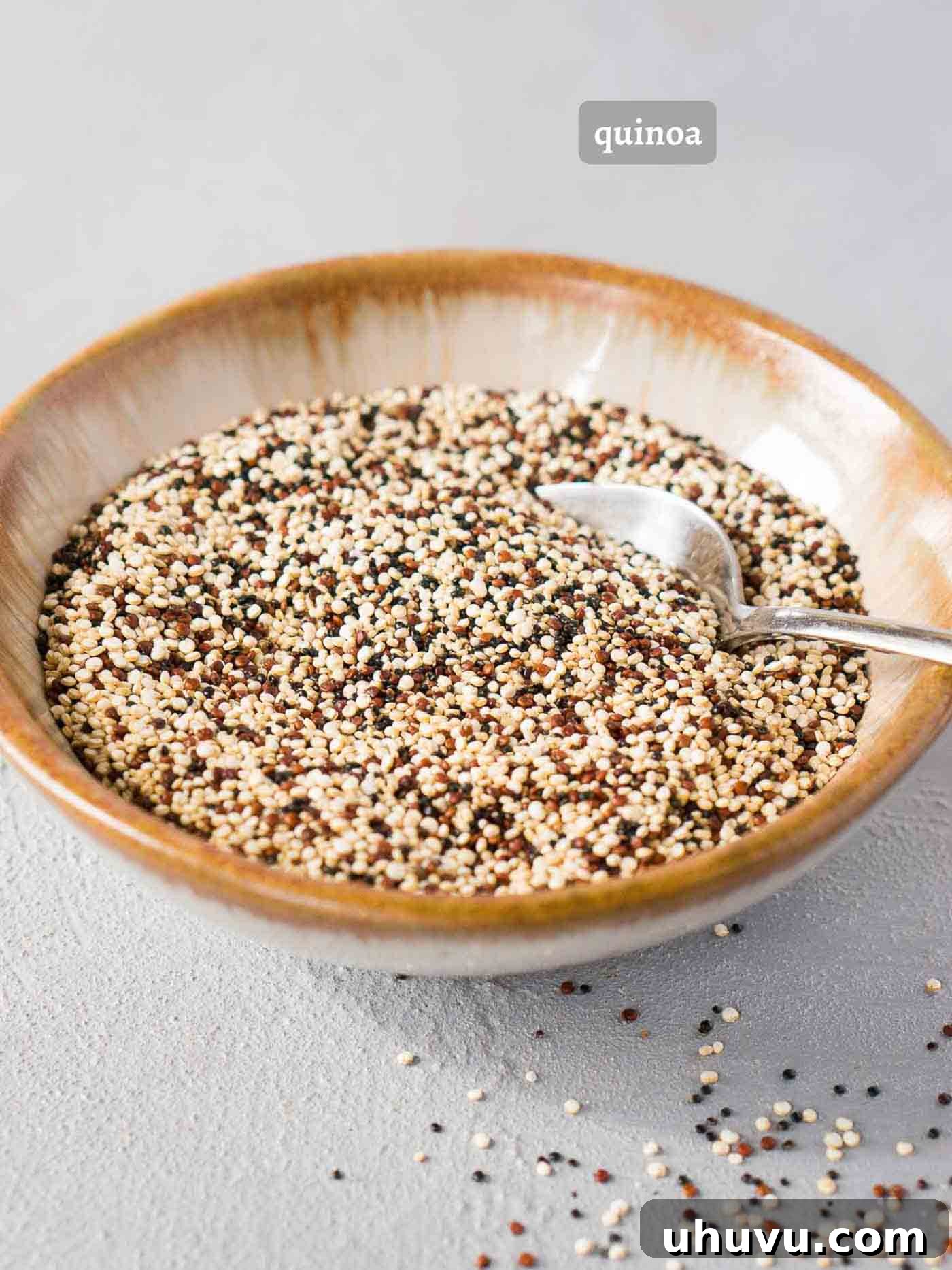 The Ultimate Instant Pot Quinoa 4 dry quinoa in a bowl, ready to be prepared