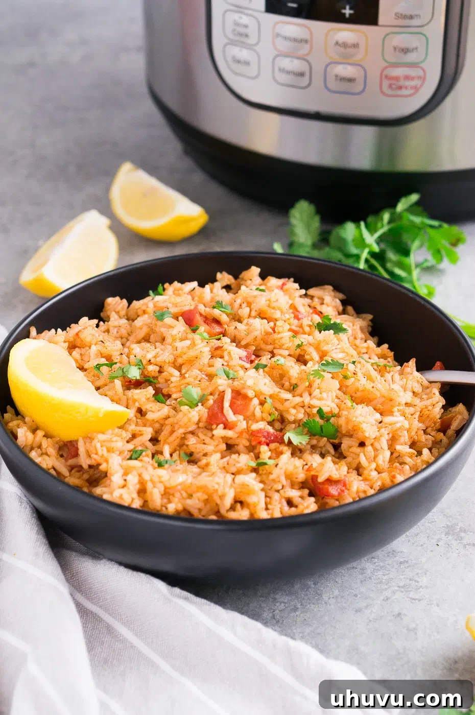 A close-up shot of a bowl of Instant Pot Spanish rice garnished with fresh cilantro.