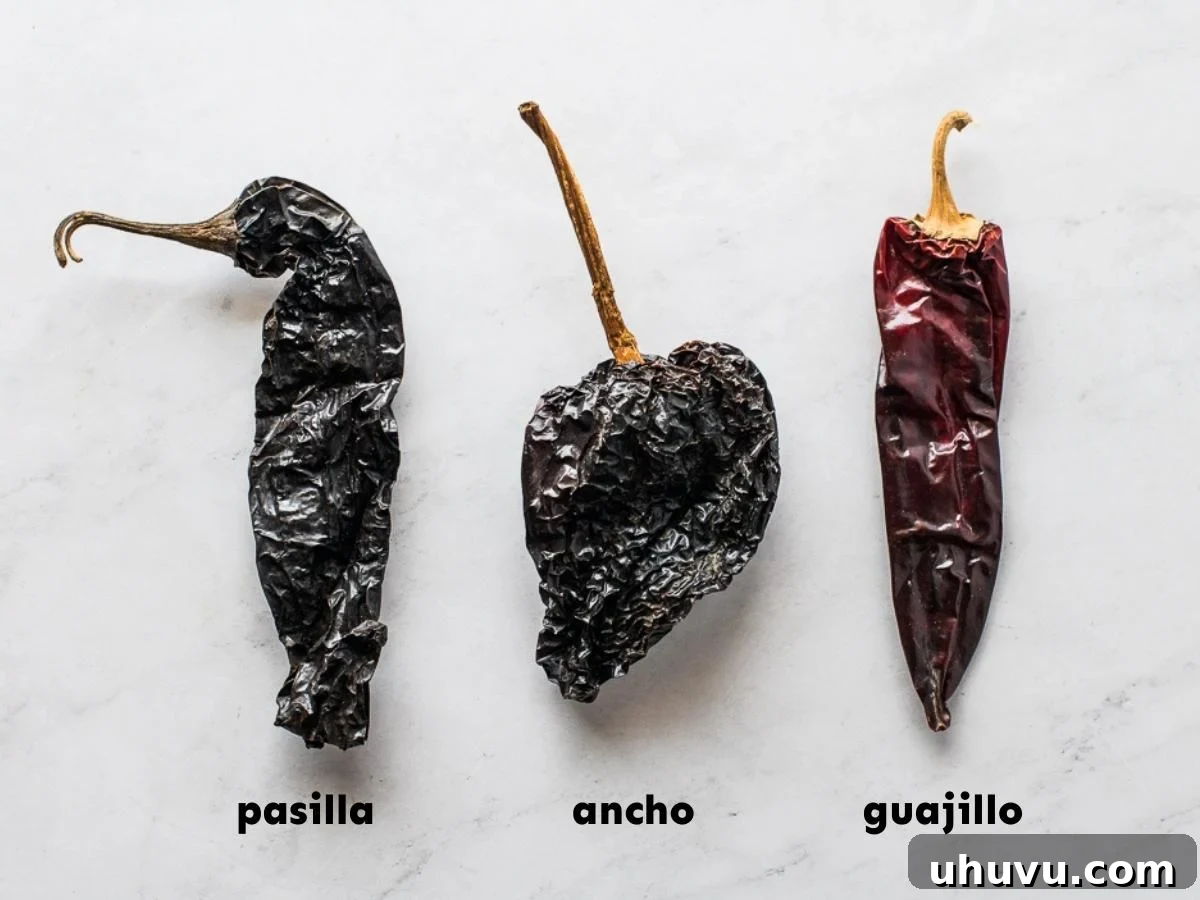A visual comparison of dried pasilla peppers alongside ancho and guajillo peppers, highlighting the 'holy trinity' of chiles in Mexican cuisine with their distinct shapes and colors.