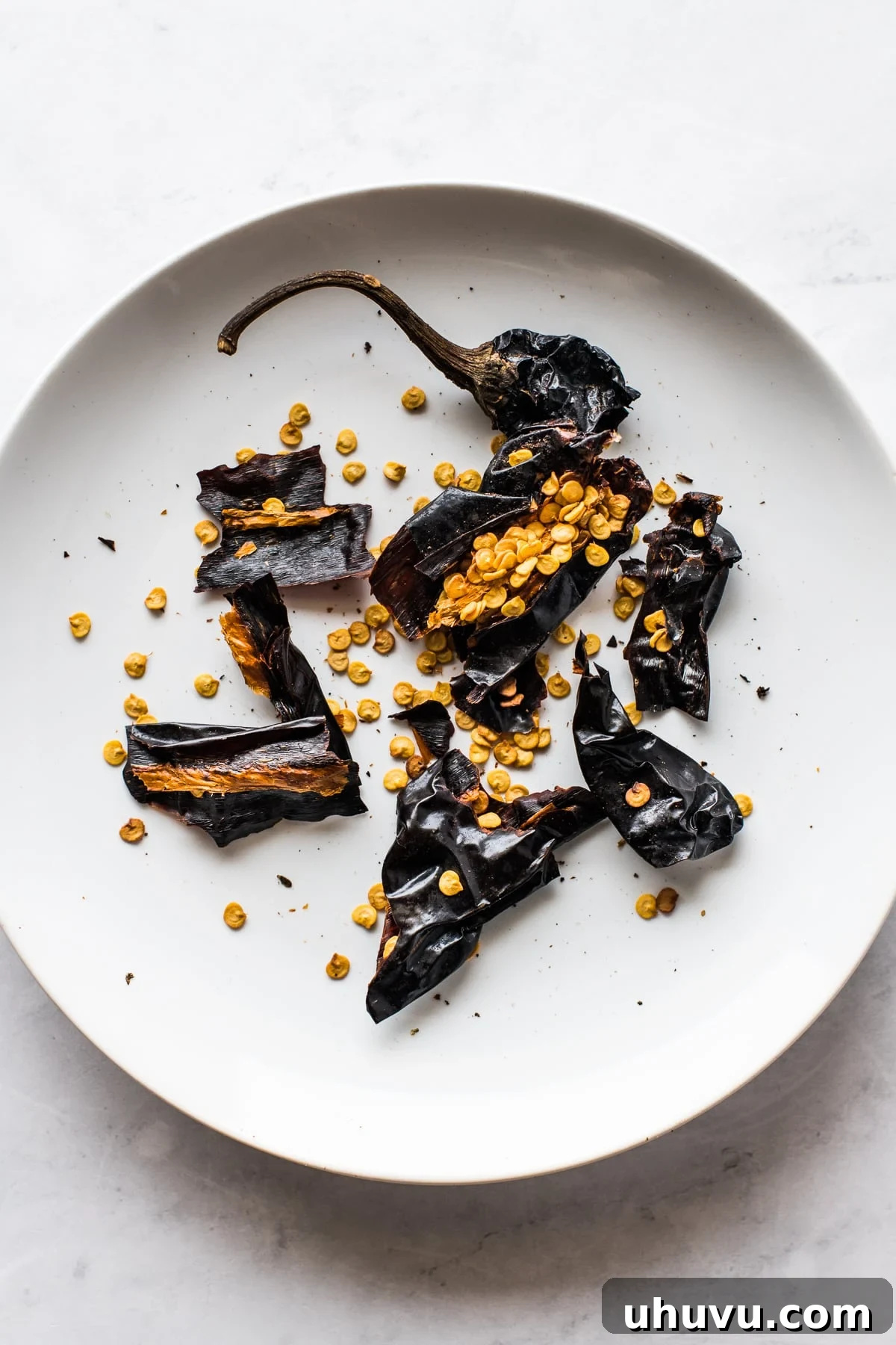 A close-up view of a dried pasilla pepper that has been carefully opened and deseeded, revealing its interior structure and readiness for rehydration in traditional Mexican cooking.