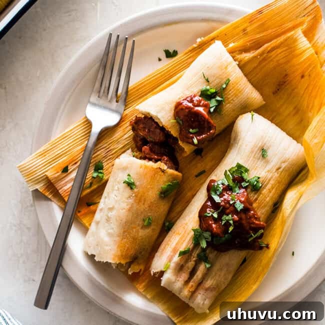 Unwrap the Flavor: Authentic Mexican Tamales 18 Authentic Mexican Tamales, showcasing their soft masa and vibrant red chile pork filling.