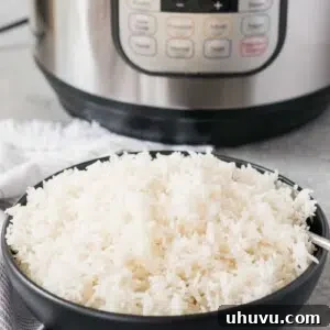 instant pot rice served in a black bowl