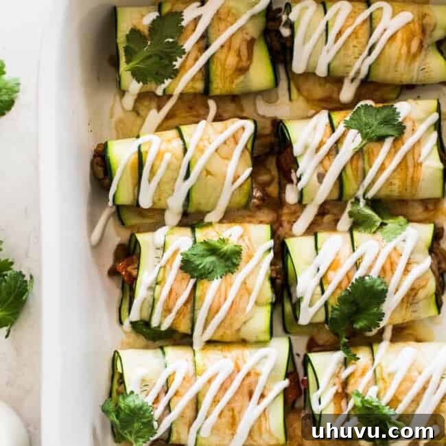 Zucchini Enchiladas topped with sour cream and cilantro