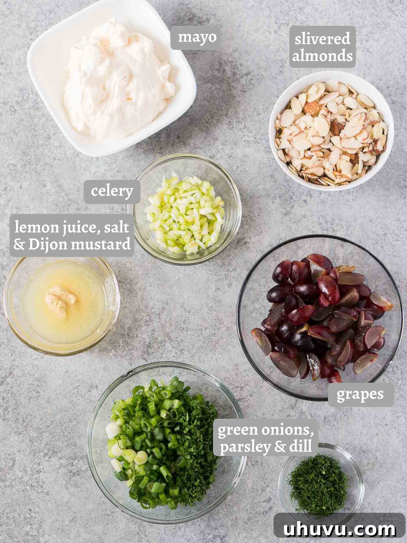 Homestyle Chicken Salad Delight 4 A vibrant display of fresh chicken salad ingredients including cooked chicken, mayonnaise, celery, grapes, almonds, and dill, ready for mixing.