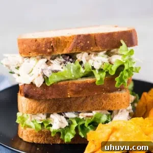 chicken salad sandwiches with chips on a plate