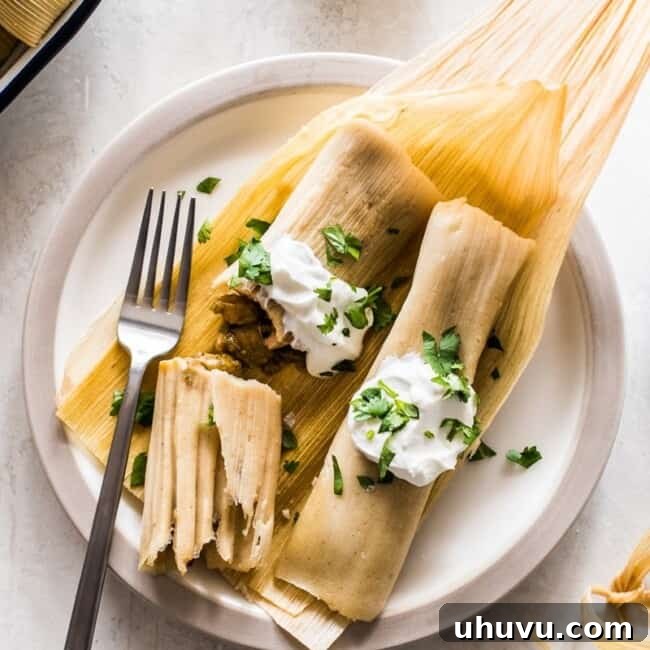 Chicken tamales made from an easy masa tamale dough and stuffed with tender pieces of chicken and green chile verde sauce. Great for serving a crowd or freezing and reheating for later! #tamales #chickentamales #glutenfree #mexicanfood