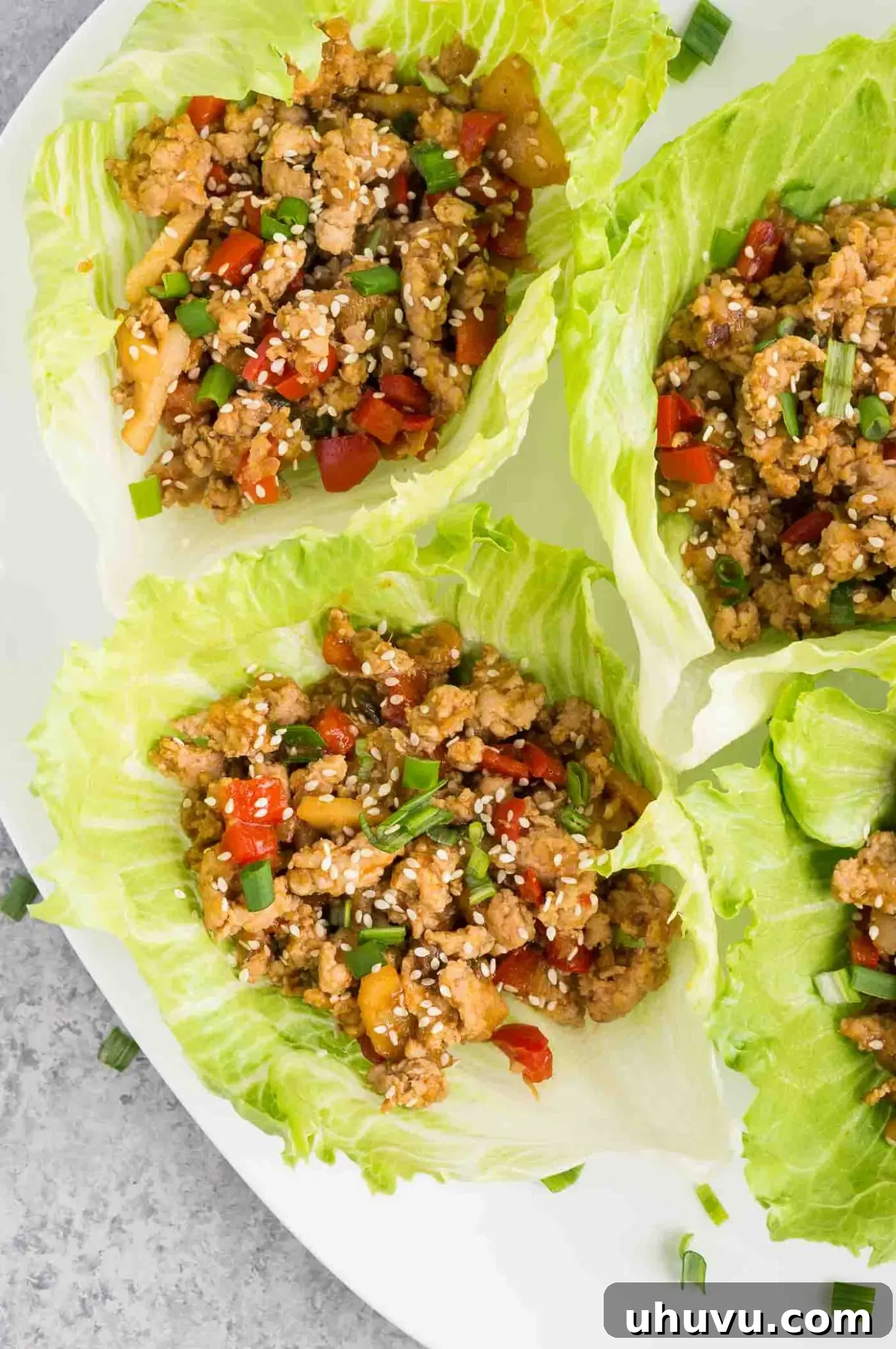 A close-up of chicken lettuce wraps on a plate, garnished with fresh herbs and ready to serve