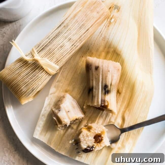 Sweet Corn Delights 7 Sweet tamales filled with raisins