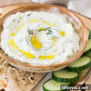 Tzatziki with fresh cucumbers and dill, in a small bowl with a spoon