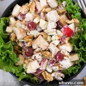 Chicken Waldorf Delight 8 chicken salad waldorf recipe