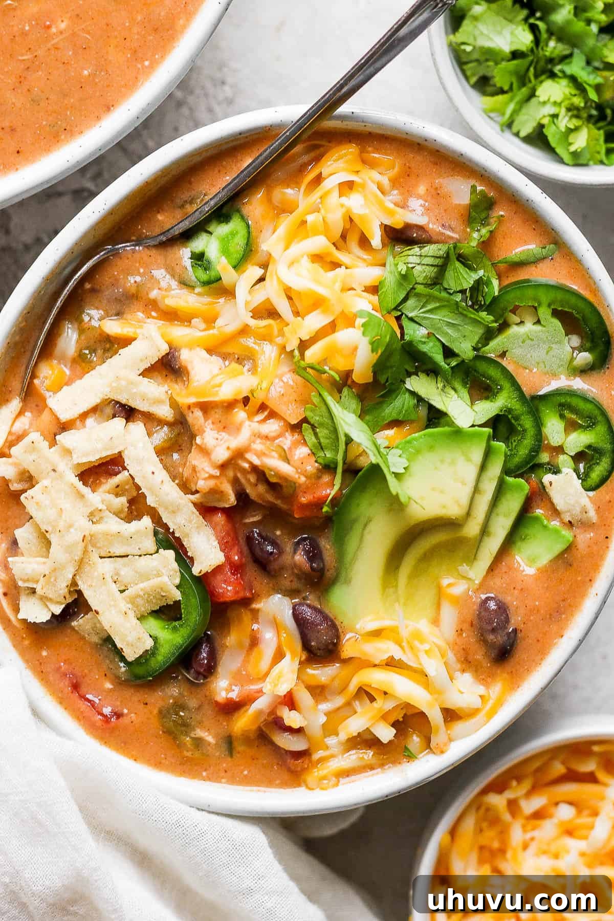 25 Quick Bean Dinners 17 Hearty Chicken Enchilada Soup, garnished beautifully.