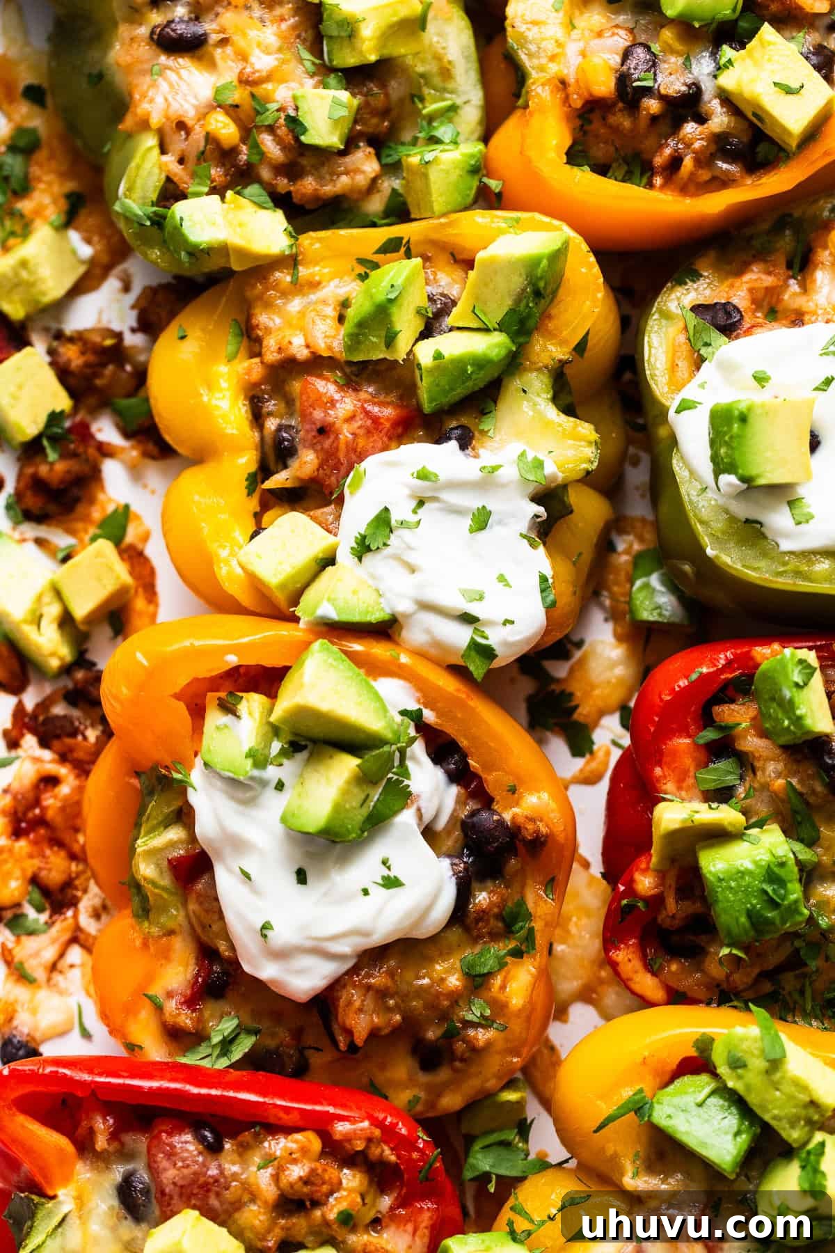 25 Quick Bean Dinners 5 Mexican Stuffed Peppers, richly filled and garnished with a dollop of sour cream, creamy avocado, and fresh cilantro sprigs.
