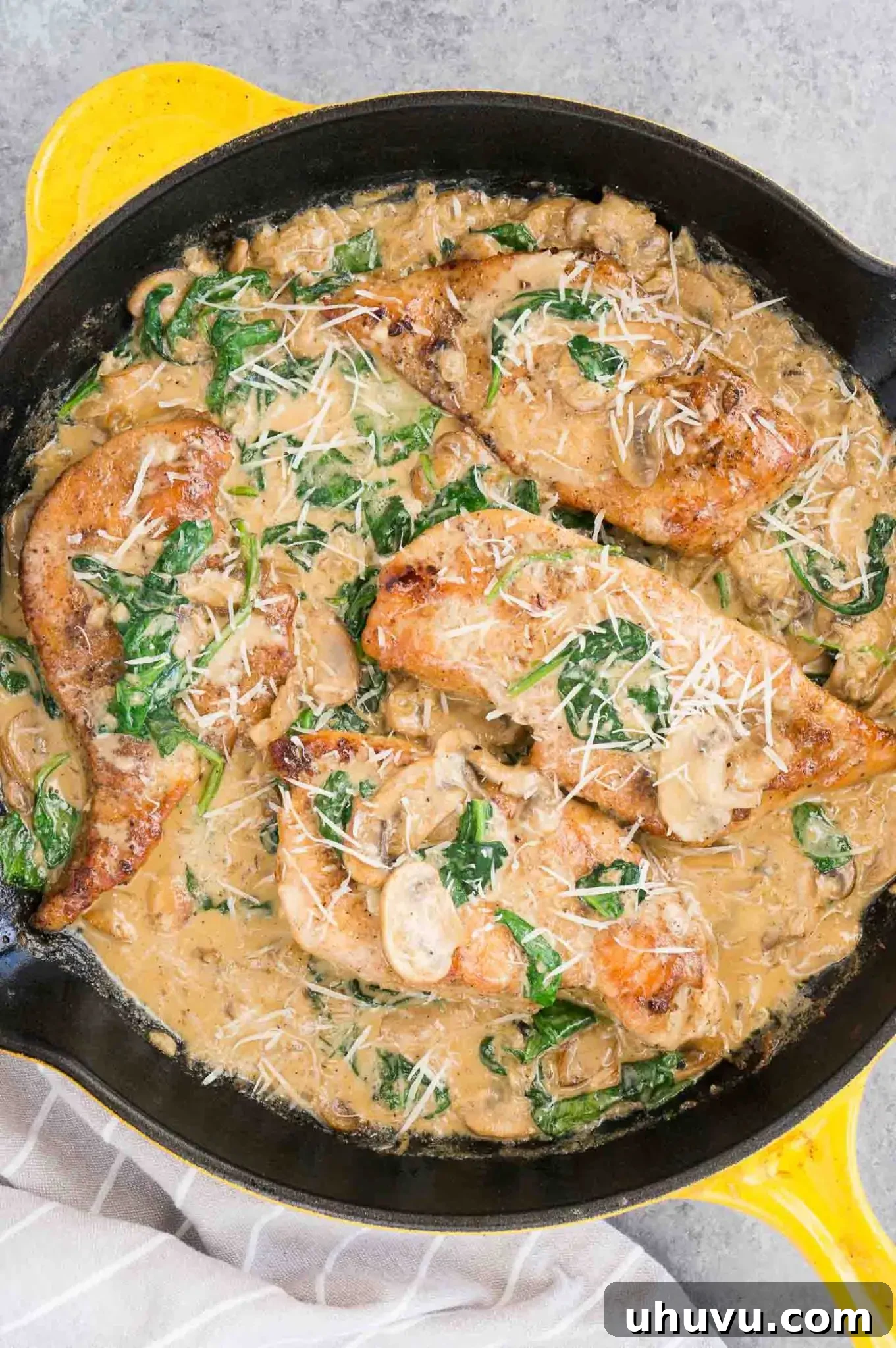 chicken and creamy mushroom sauce