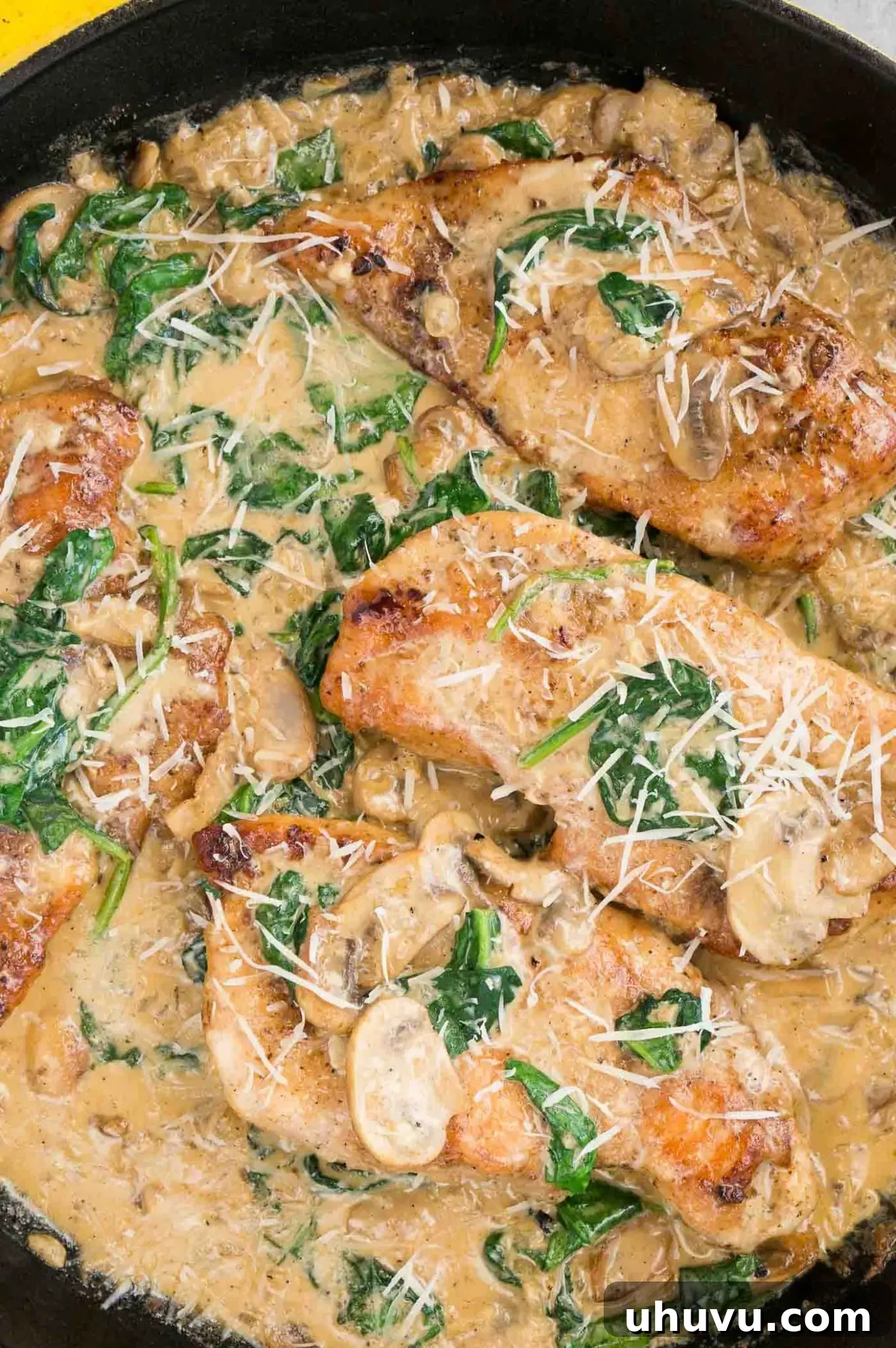 close up image of chicken florentine