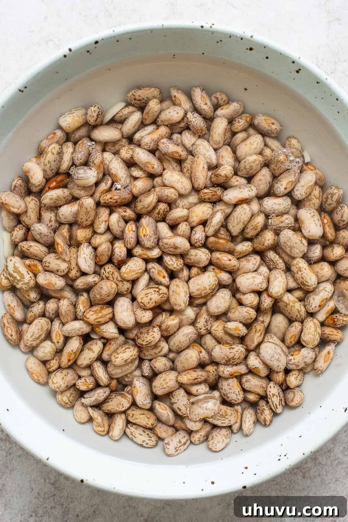 Pinto beans soaking in water