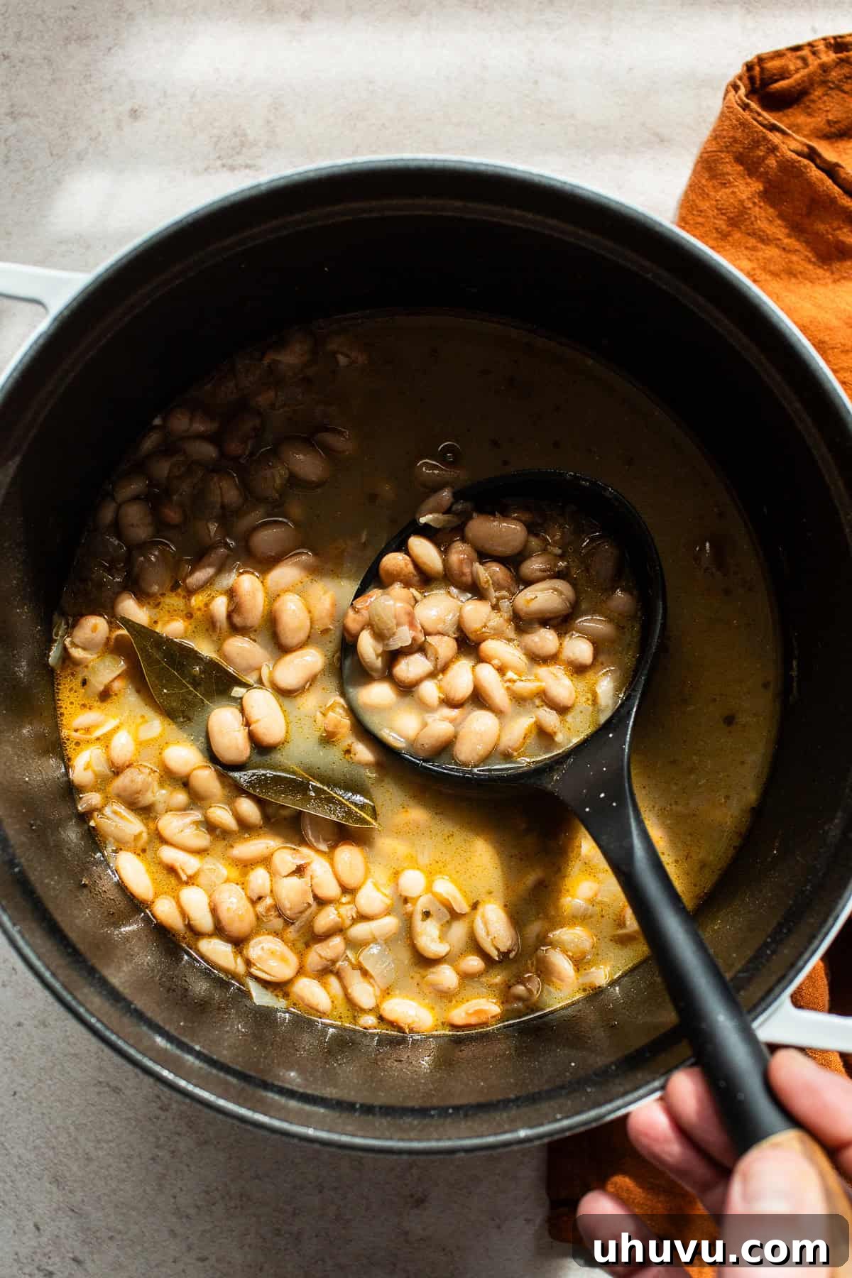 Pinto beans cooked in a pot