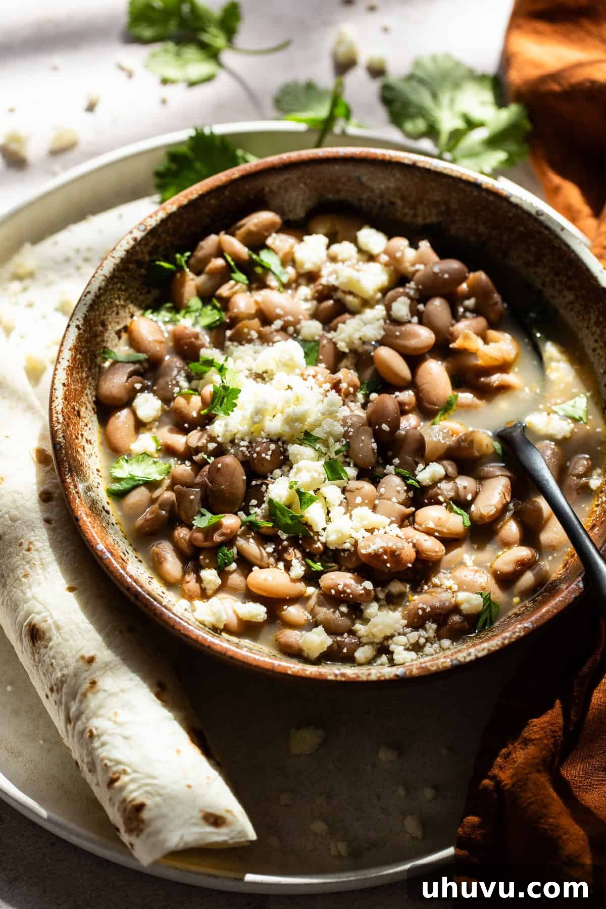 Cooked pinto beans served with cheese.