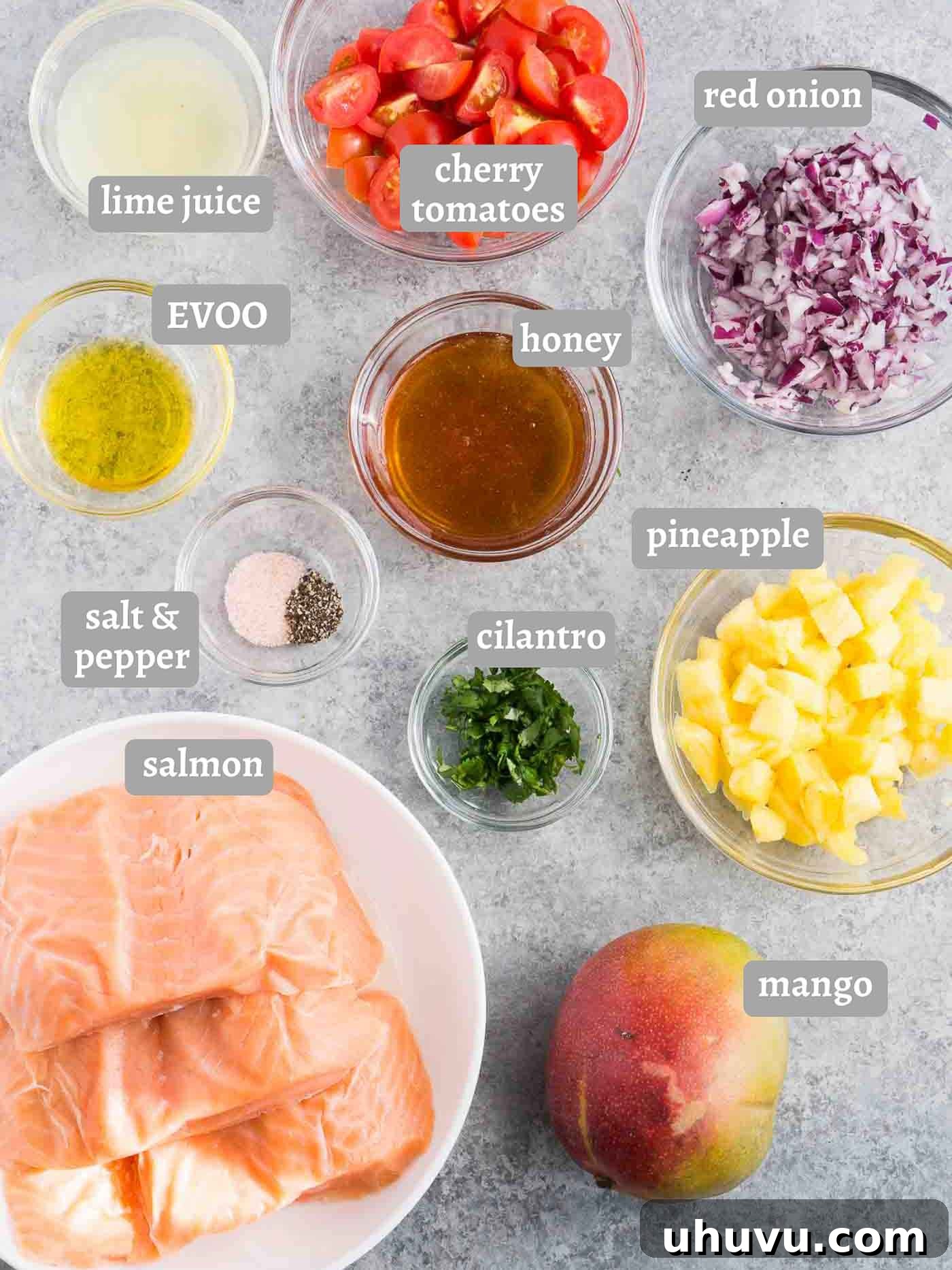 Tropical Salmon with Mango Salsa 4 Ingredients for salmon with mango salsa