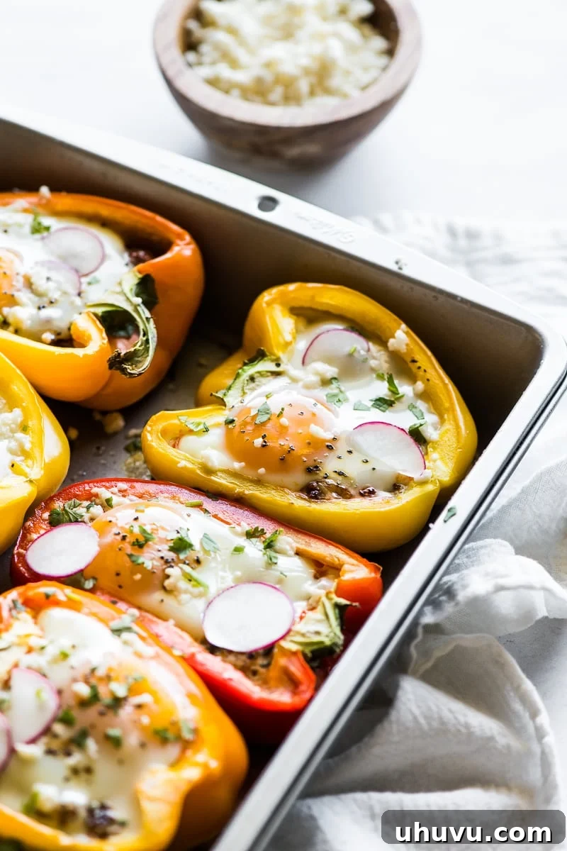 Sunrise Stuffed Peppers 7 Breakfast Stuffed Peppers topped with melted cheese, fresh cilantro, and sliced radishes, served in a baking dish.