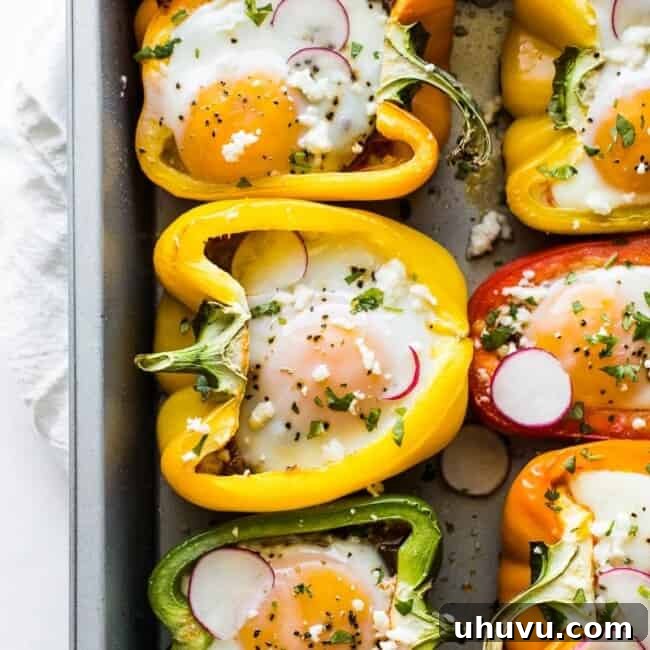 Breakfast stuffed peppers in a baking pan.