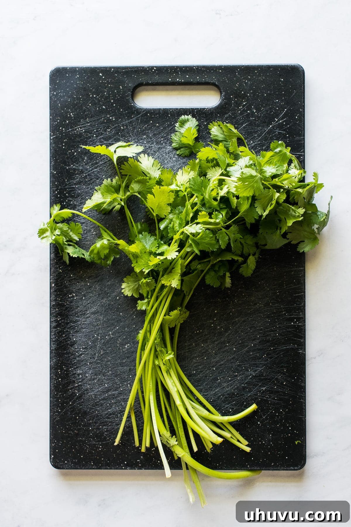 An entire bunch of cilantro on a cutting board.