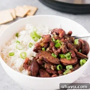 A beautifully presented bowl of red beans and rice with sausage, perfect for a cozy meal.