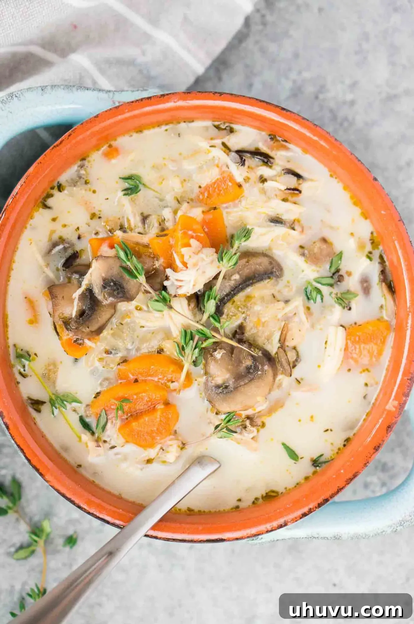 close up image of bowl of chicken rice soup, garnished with herbs