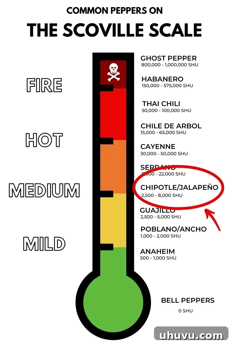 Chipotle Explained From Smoke to Spice 3 Chipotle Peppers illustrated on the Scoville scale for heat comparison, showing their position relative to other common peppers.