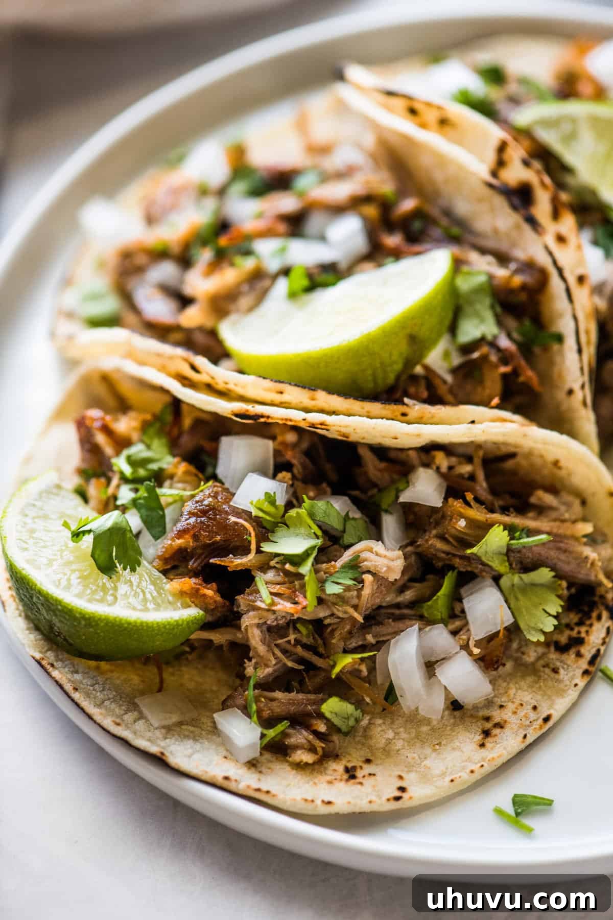 Slow-Cooked Pork Perfection 2 Crispy and juicy Carnitas (Mexican slow-cooked pulled pork) nestled in a warm corn tortilla, beautifully garnished with fresh diced onion, vibrant cilantro, and a squeeze of zesty lime.