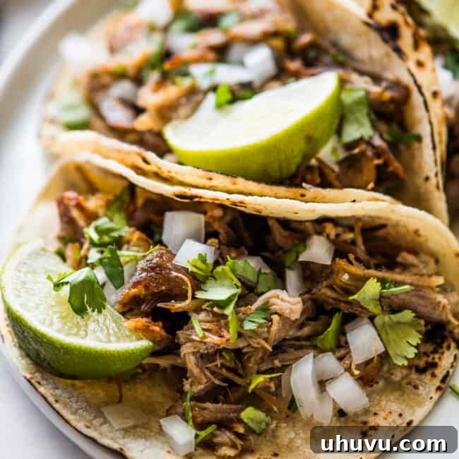 Slow-Cooked Pork Perfection 8 Crispy and juicy Carnitas (Mexican slow-cooked pulled pork) nestled in a warm corn tortilla, beautifully garnished with fresh diced onion, vibrant cilantro, and a squeeze of zesty lime.