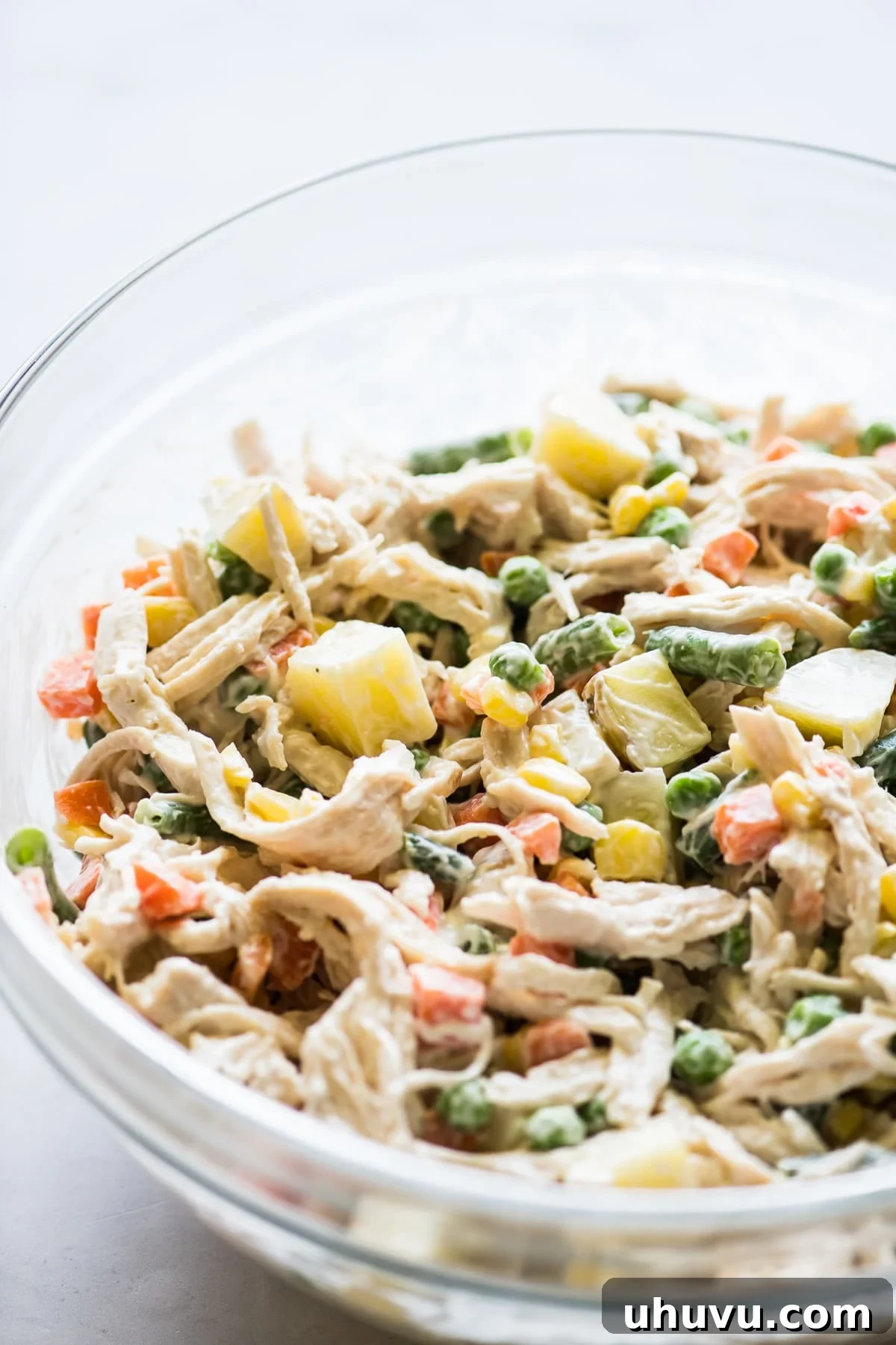 Classic Chicken Salad 5 A serving of Ensalada de Pollo (Mexican chicken salad) garnished and ready to eat.