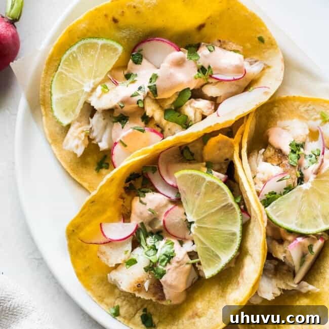 Tilapia fish tacos topped with cilantro and chipotle lime crema.