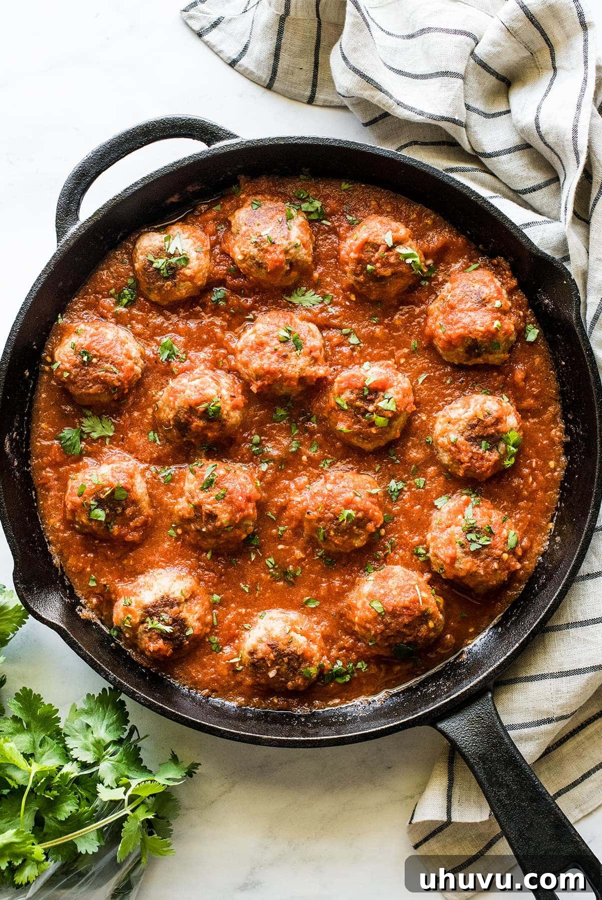 Spicy Albondigas 2 Mexican meatballs in a skillet with chipotle tomato sauce, garnished with fresh cilantro.