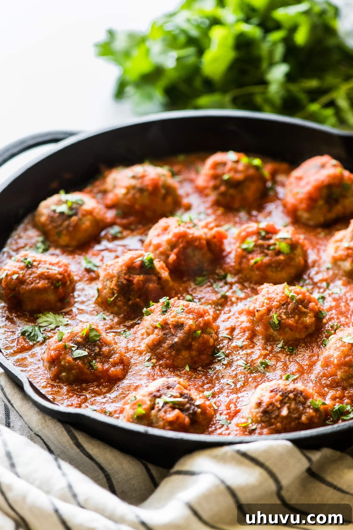 Spicy Albondigas 9 Mexican meatballs topped with rich sauce and fresh cilantro in a skillet, ready to serve.