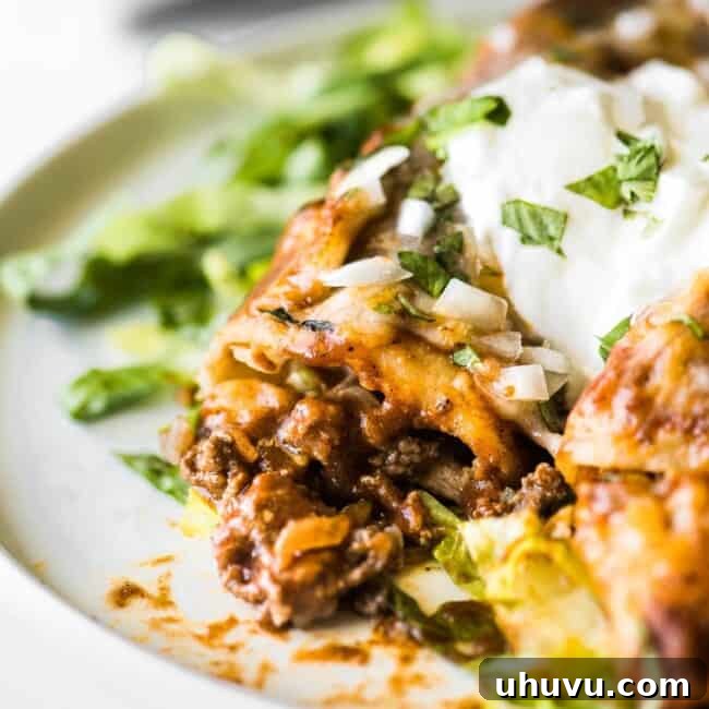Hearty Beef Enchilada Fiesta 9 Beef enchiladas topped with sour cream on a bed of shredded lettuce.