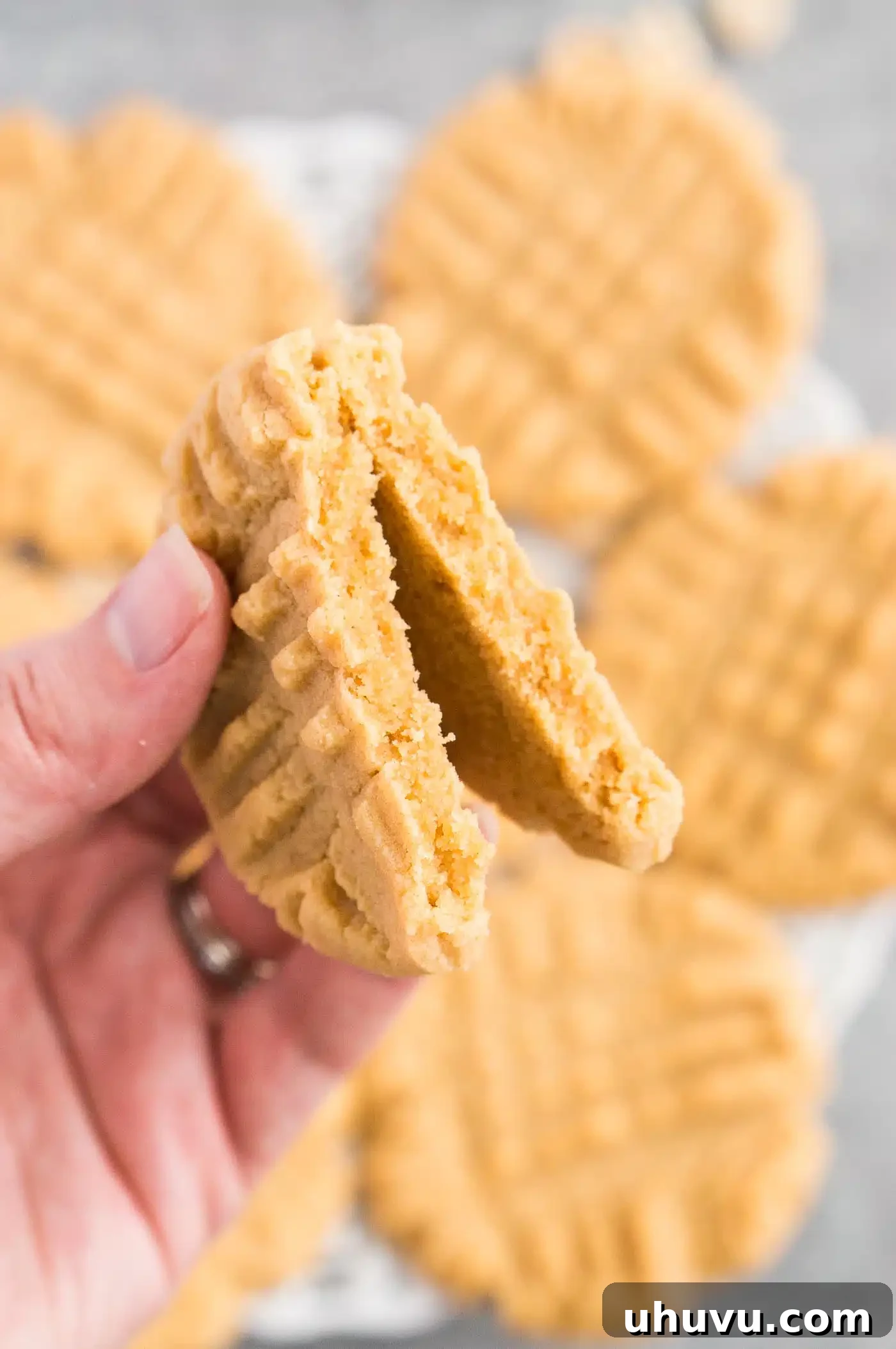 Irresistible Peanut Butter Bites 8 Close-up image of a split peanut butter cookie, showing its soft interior