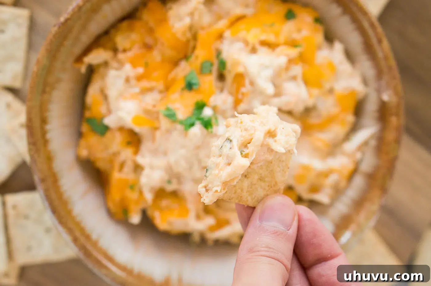 close up image of dipping cracker in a dip