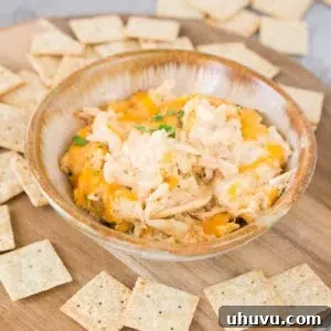 close up image of crab dip in a bowl with crackers