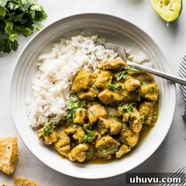 Emerald Chicken Verde 7 Chicken Chile Verde in a bowl with white rice, topped with fresh cilantro, photographed for a recipe card.