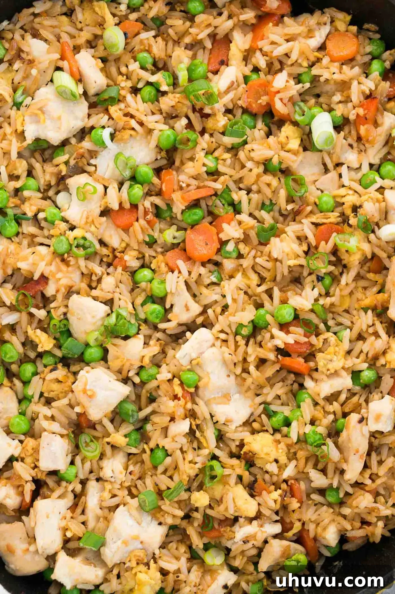 close up of fried rice and chicken in a skillet