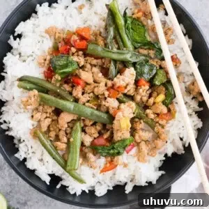 Thai Basil chicken over rice