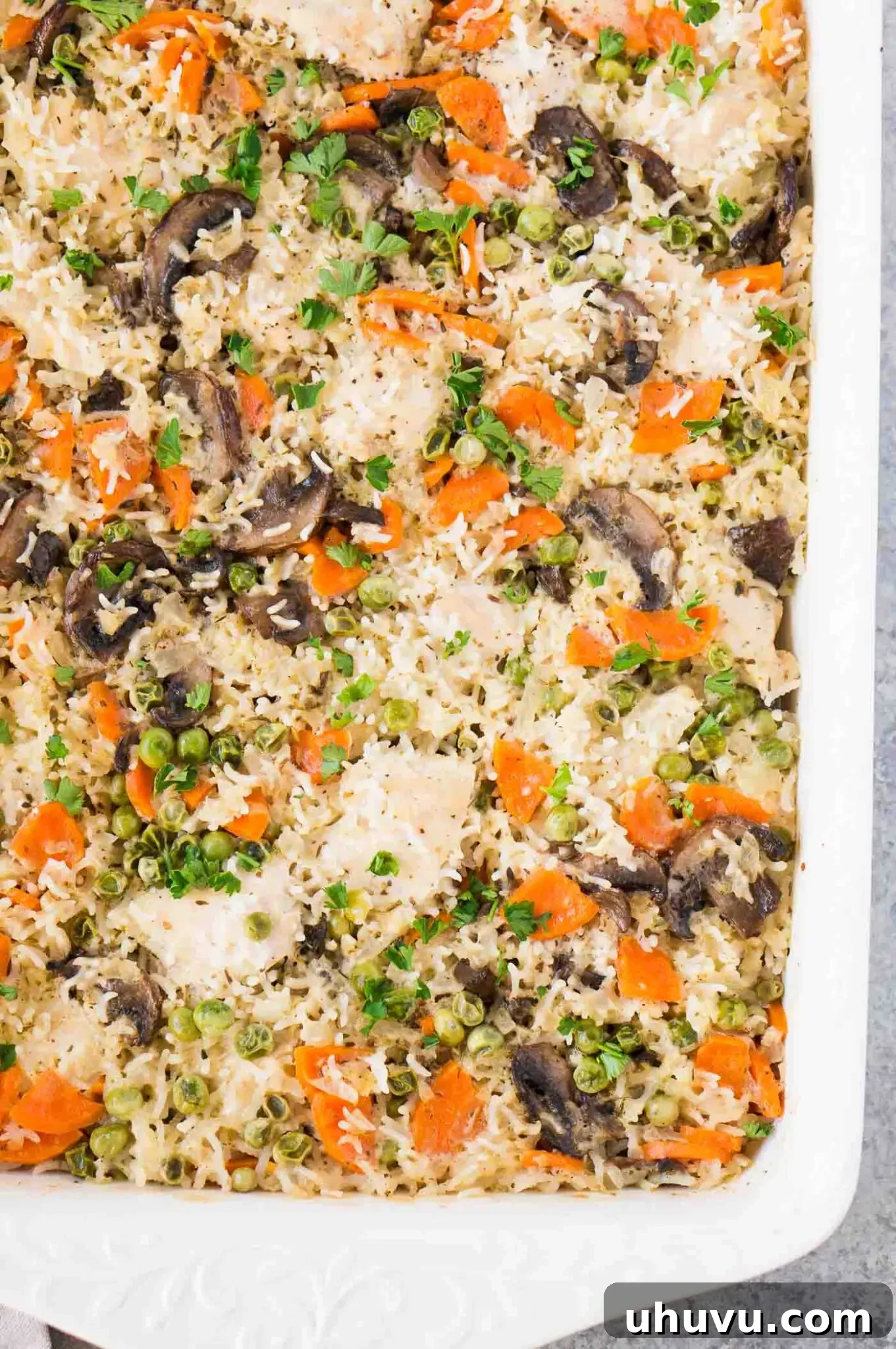 Close up image of creamy chicken and rice casserole